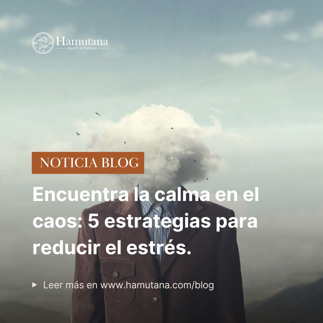 encentralacalmaenelcasos